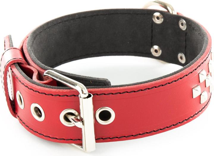 Produktbild Vivog Clou (45, Hund, Spazieren)