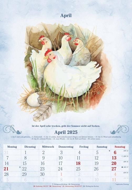 Actual product image Alpha Edition 100 Years Calendar 2025 Wall Calendar, 23,7x34cm, Picture Calendar with (Hardcover, German)