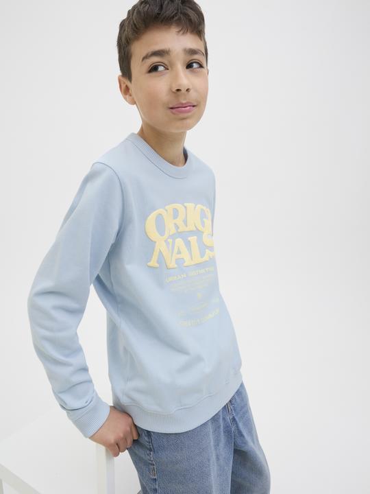 Actual product image Jack & Jones Gedruckt Sweatshirt Junior Sweatshirt (164)