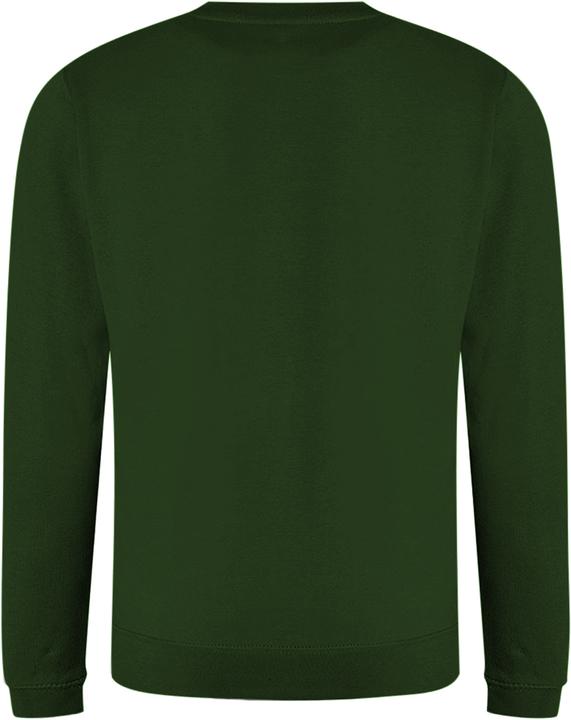 Actual product image Awdis Just Hoods sweatshirt with round neckline (XL)