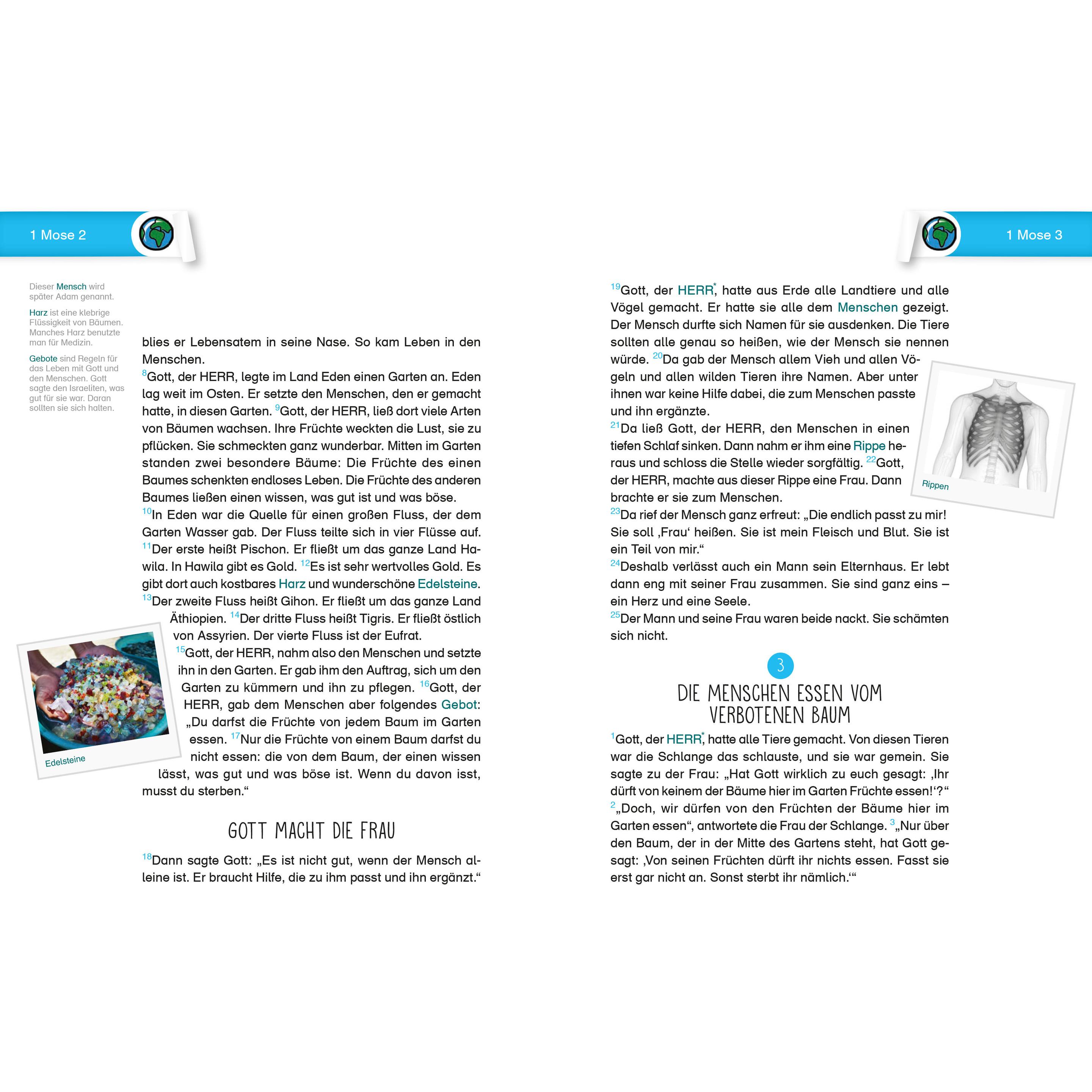 Thumbnail - Die Bibel. Übersetzung für Kinder. Einsteigerbibel, Fachbücher