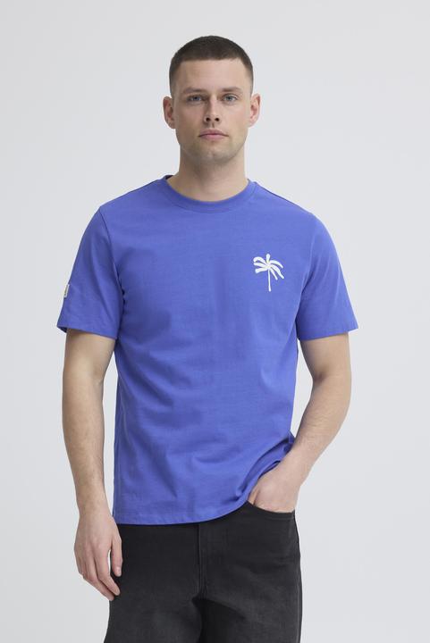 Actual product image Blend Sun Palm (XXL)