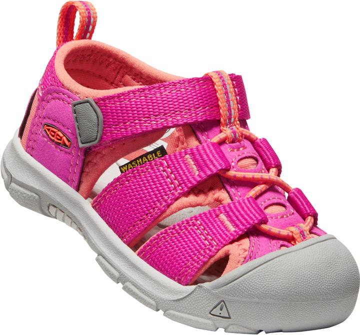 Merger Coral, Very Berry