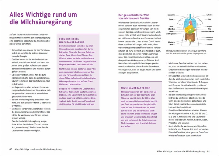 Produktbild Obst & Gemüse haltbar machen - Einlegen, Einkochen, Trocknen, Entsaften, Milchsäuregärung, Kühlen (Deutsch, Maren Bustorf-Hirsch, 2021)
