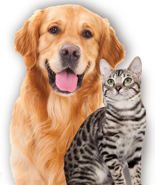 Actual product image MediaShop Fur Daddy Deluxe
