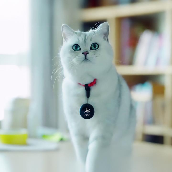 Immagine prodotto Aqiila - Tagbird - Item Finder + Mount (1-pack) (Android, iOS)