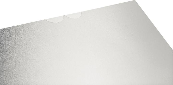 Produktbild Leitz Pp (A4, 100 x)
