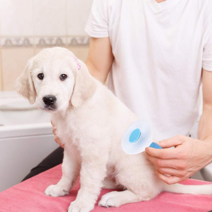 Image du produit Suba Brosse à poils d'animaux (Chat, Chien)