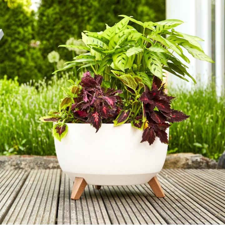 Image du produit Siena Garden M82582 Jardinière Oslo 29 cm, Ø29 x 23cm, blanc (29 cm)