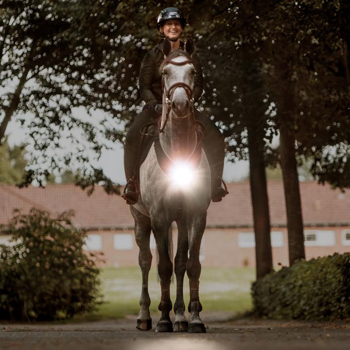 Image du produit Kavalkade Horselight