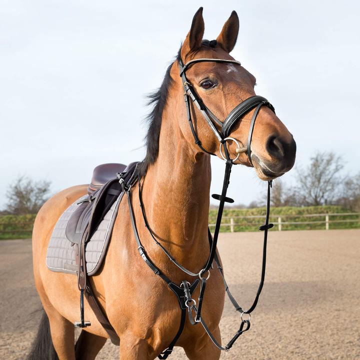 Actual product image Horze Adjustable hunting collar for horses