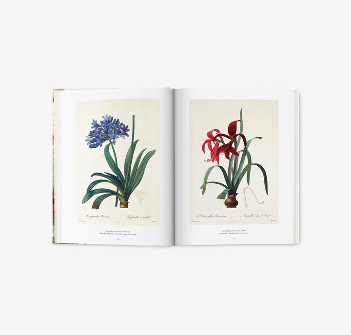 Produktbild Redouté. The Book of Flowers (Deutsch, H. Walter Lack, 2017)