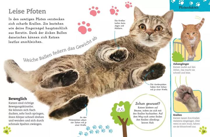 Produktbild Alles über deine Katze (Deutsch, Frauke Bahle, 2018)