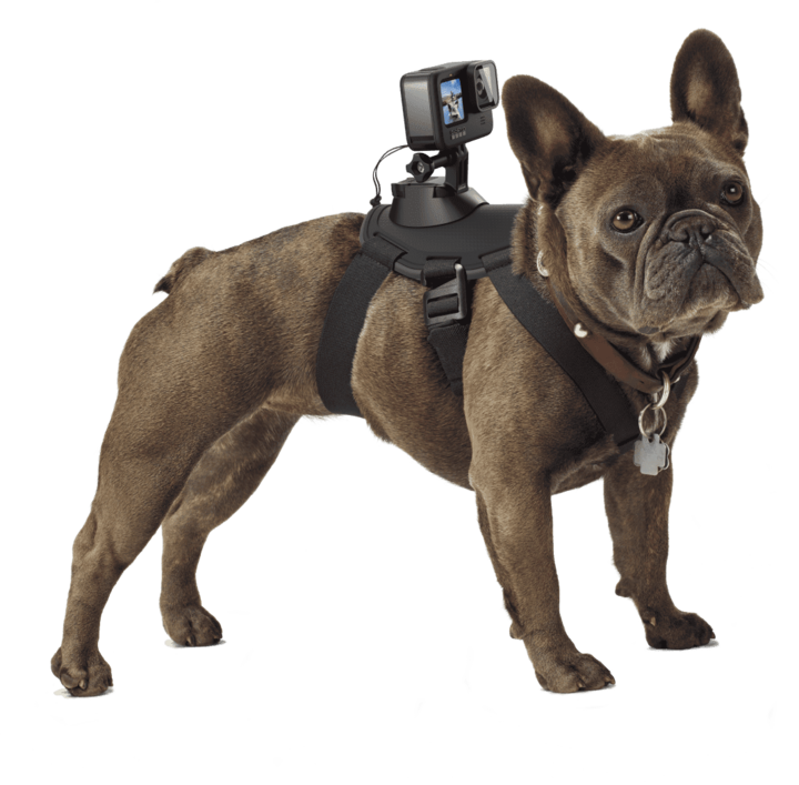 Image du produit GoPro Fetch harnais pour chien (Universel, Héros 7, Action Osmo)