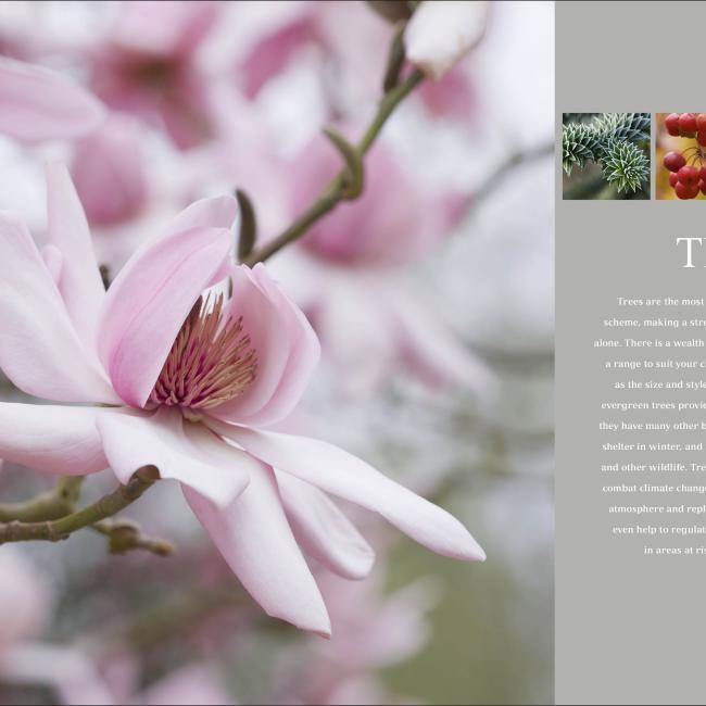 Immagine prodotto RHS Encyclopedia Of Plants And Flowers (Inglese, Christopher Brickell, 2019)