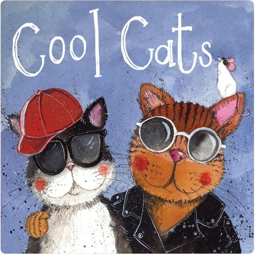 Teka, Magneti, Magnet FM221 Coole Katzen