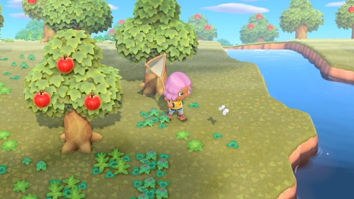 Actual product image Nintendo Animal Crossing: New Horizons (Switch, FR)
