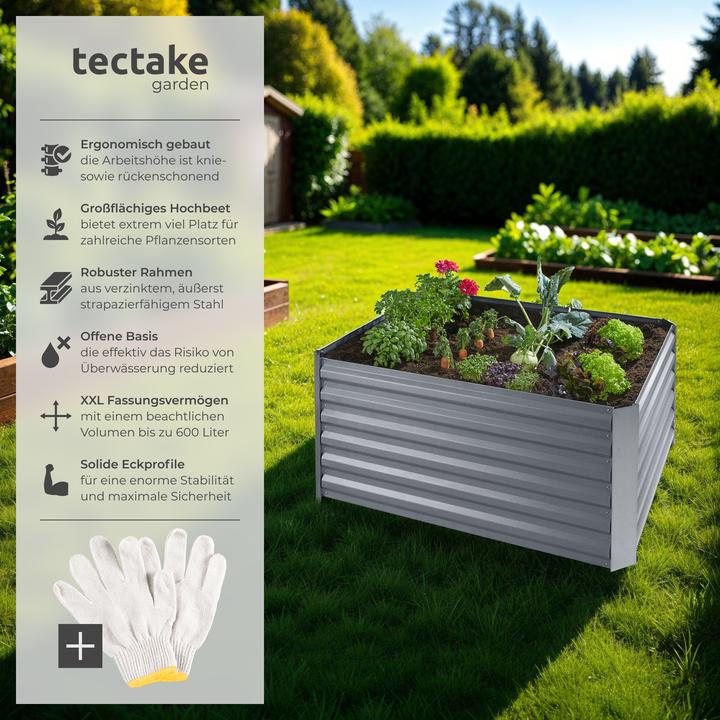 Produktbild tectake Salvia