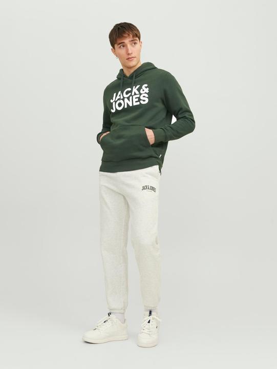 Produktbild Jack & Jones Logo Hoodie (XS)