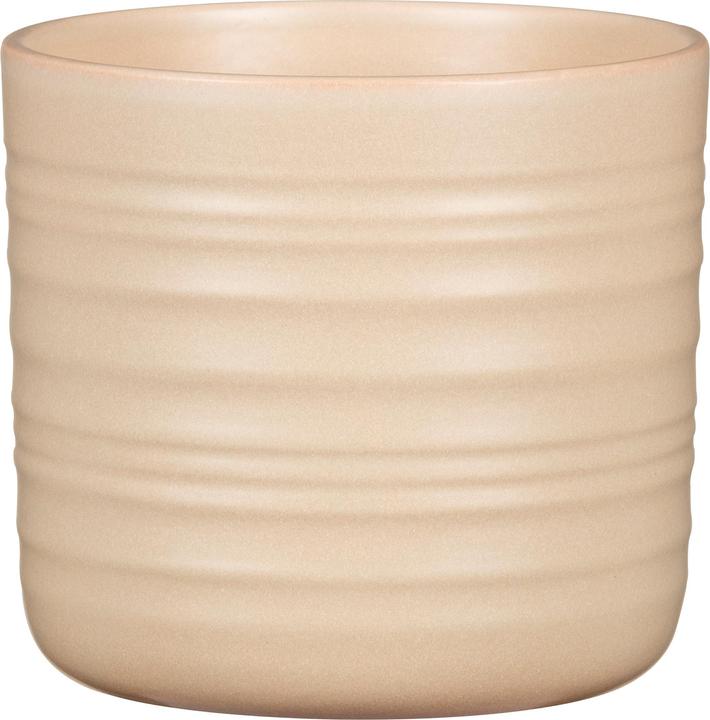 Produktbild Scheurich Cottage Dry Reed (16.60 x 15.30 cm)