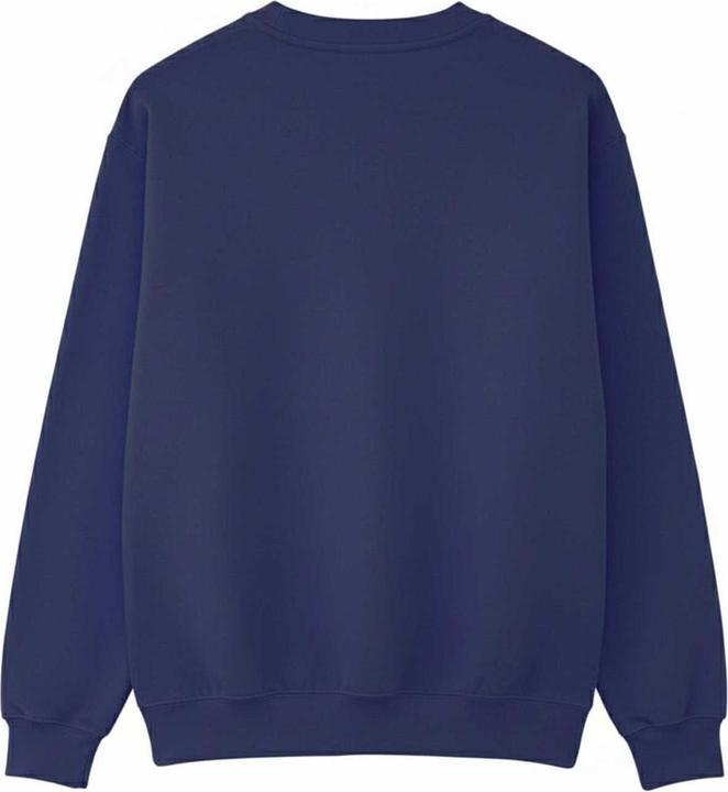 Actual product image Boys Wade Sweatshirt (116)