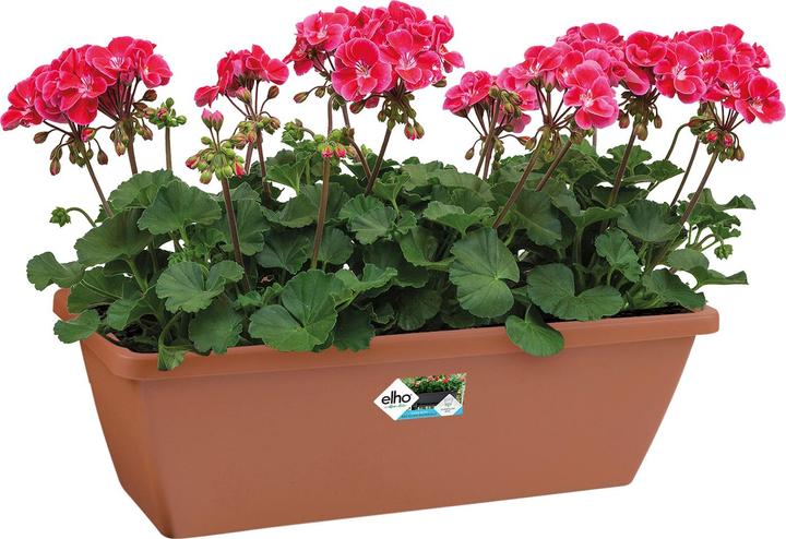 Image du produit Elho Barcelona (20 cm)