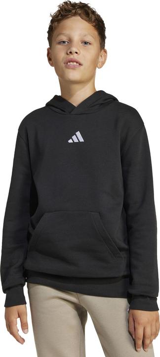 Actual product image adidas Kid's Small Logo Fleece Hoodie 225 (128)