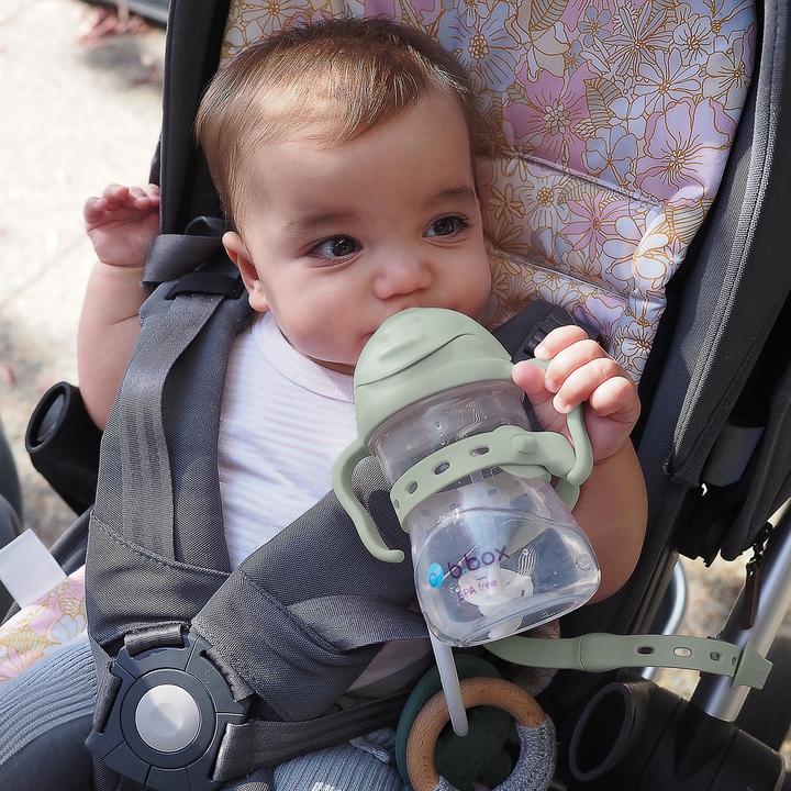 Produktbild B.Box Flaschenhalter Sage