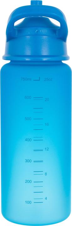 Actual product image Lifeventure Flip-Top Water Bottle, Blue (0.75 l)