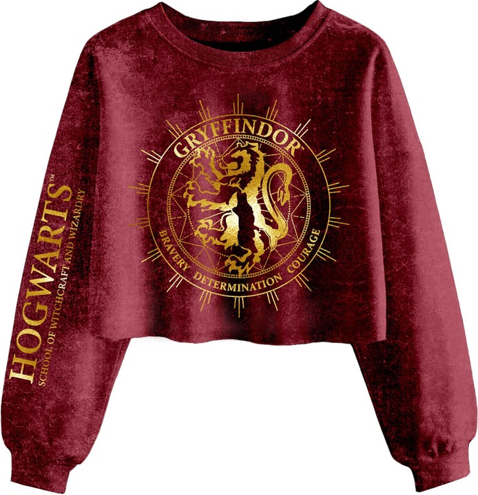 Actual product image Gryffindor Constellation Short Sweatshirt (XL)