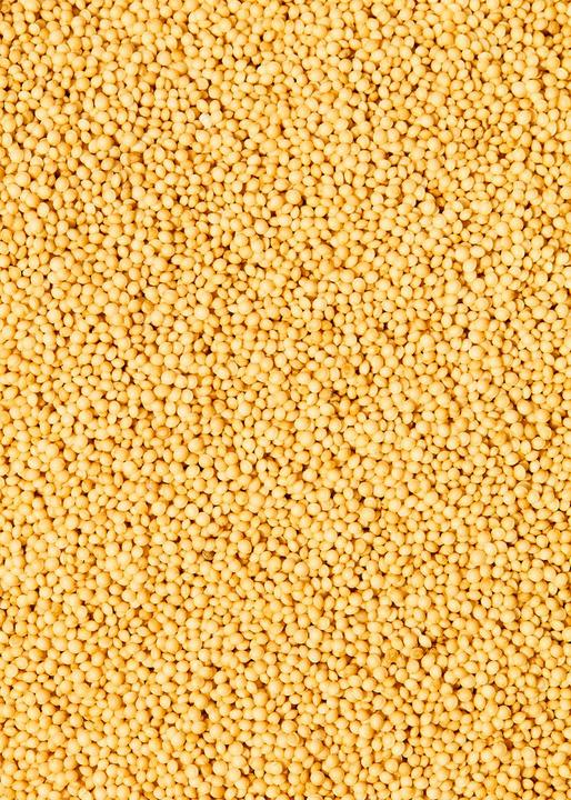Produktbild KoRo Bio Amaranth (2000 g)