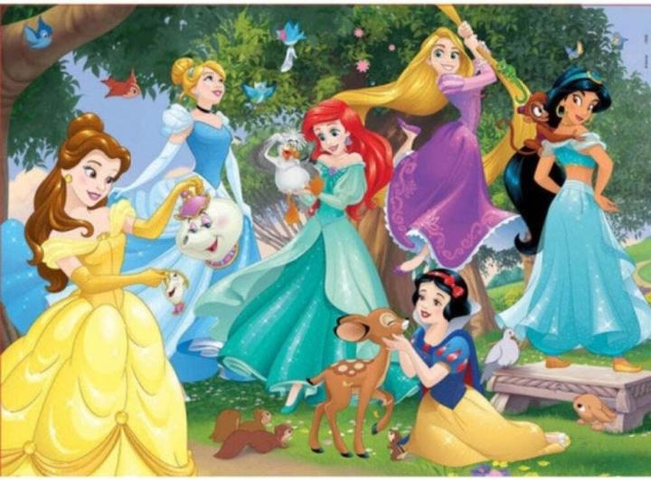 Immagine prodotto Educa Principesse Disney (100 pezzi)