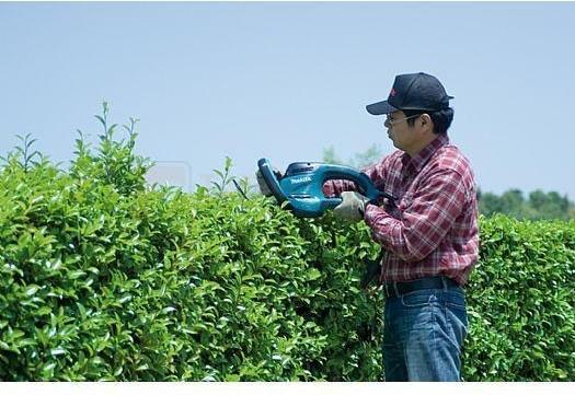 Image du produit Makita UH6580 (Fonctionnement sur secteur)