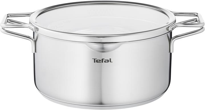Actual product image Tefal Nordica Kochtopf mit Deckel 24 cm (24 cm, Pot, Stainless steel)