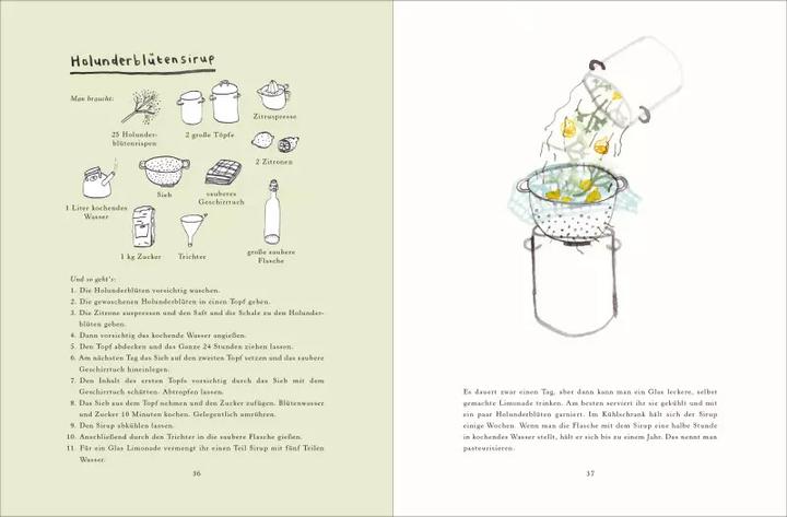 Produktbild Handbuch für Pflücker und Sammler (Deutsch, Erica Bakker, 2019)