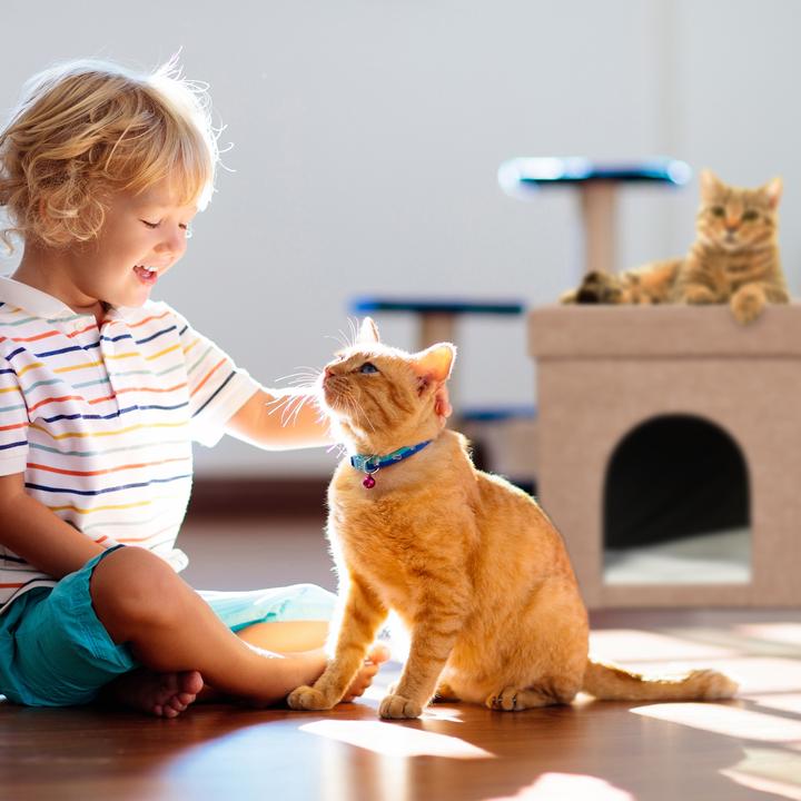 Actual product image Relaxdays Cat cave (Cat)