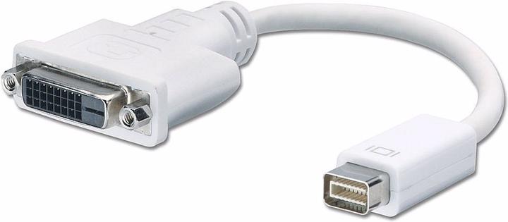 Produktbild Lindy Adapter Mini-DVI an DVI-D (20 cm)