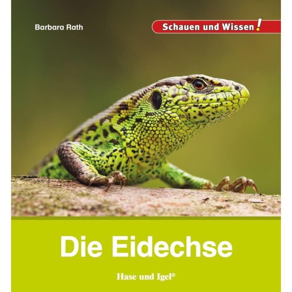 Die Eidechse, Kinderbücher von Barbara Rath