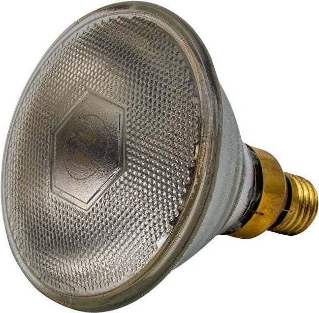 Horizont Par (100 W)