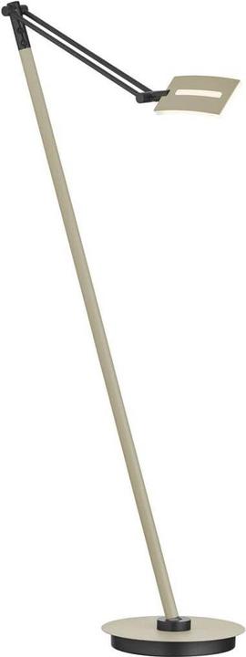 Immagine prodotto Hell Evolo Lampada da terra LED Dimmerabile 146cm CCT Taupe 60538/1-12