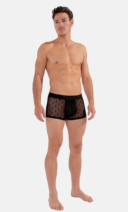 Produktbild HOM Trunk Dark (XL, Einzelpack)