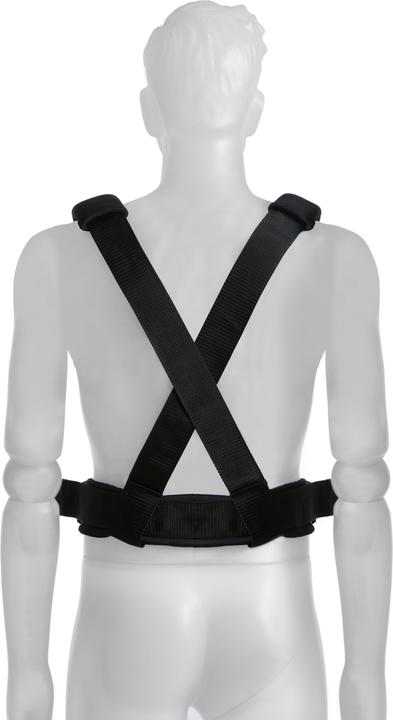 Actual product image Hauck 4-Way Carrier