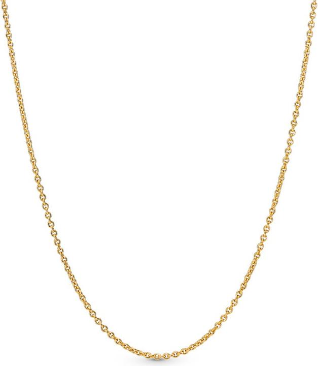 Produktbild Pandora Shine (Silber 925, 45 cm)