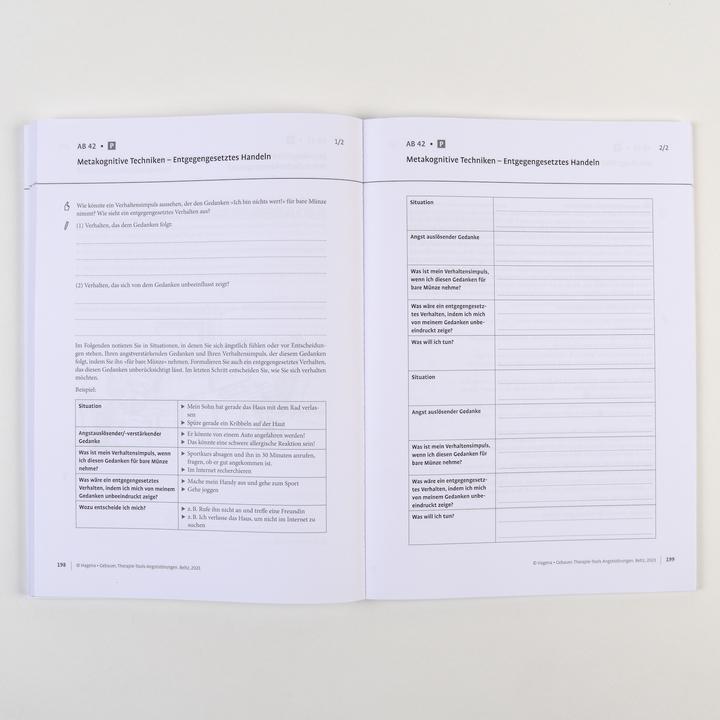 Actual product image Therapie-Tools Angststörungen (German, Malte Gebauer, Silka Hagena, 2025)