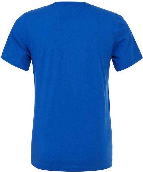 Actual product image Bella Canvas Adults Unisex Crew Neck T-Shirt (M)