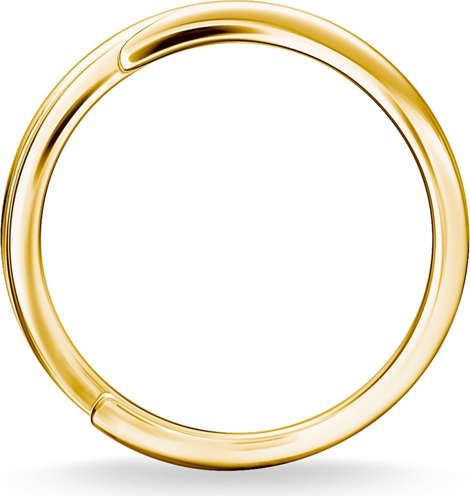 Actual product image Thomas Sabo Ring (54, 925 Silver)