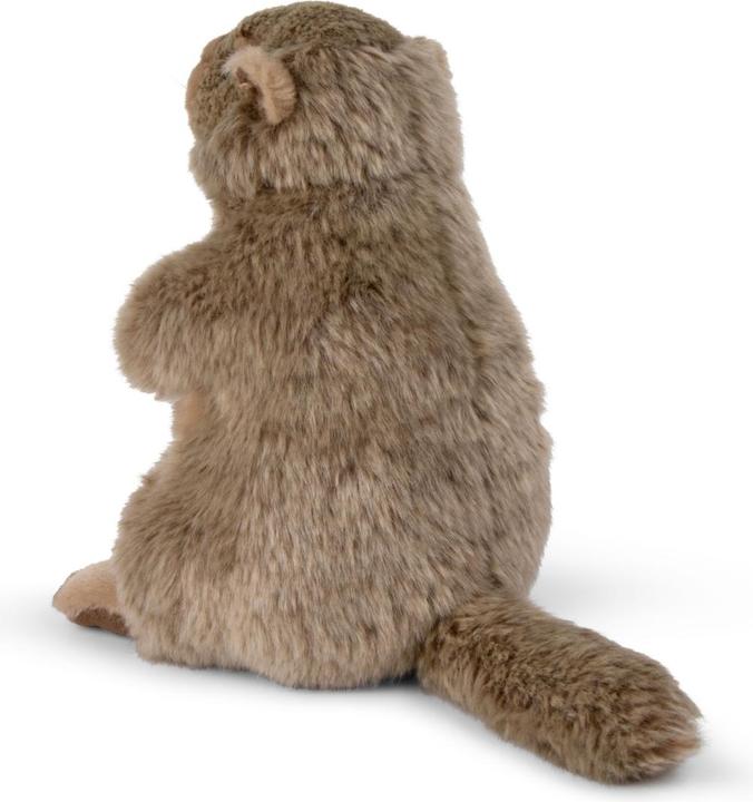 Image du produit WWF Marmotte (23 cm)