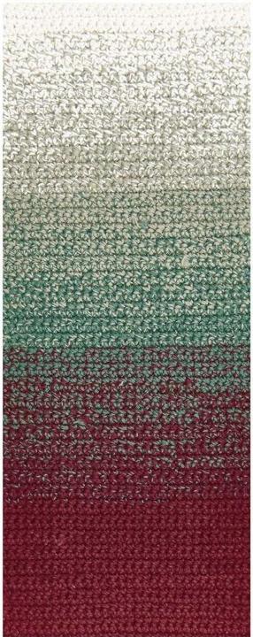 Produktbild Rico Design Wolle Ricorumi Spin Spin 50 g, Christmas (115 m)