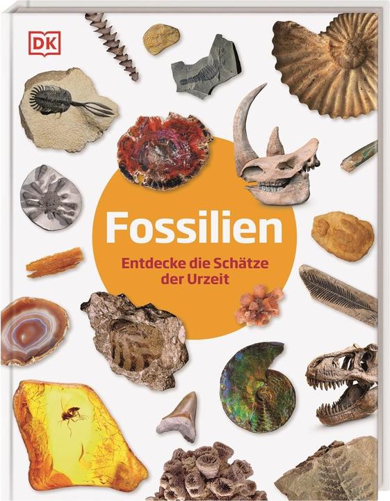 Produktbild Fossilien (Deutsch, Christine Condé, Dean Lomax, DK Verlag - Kids, 2022)