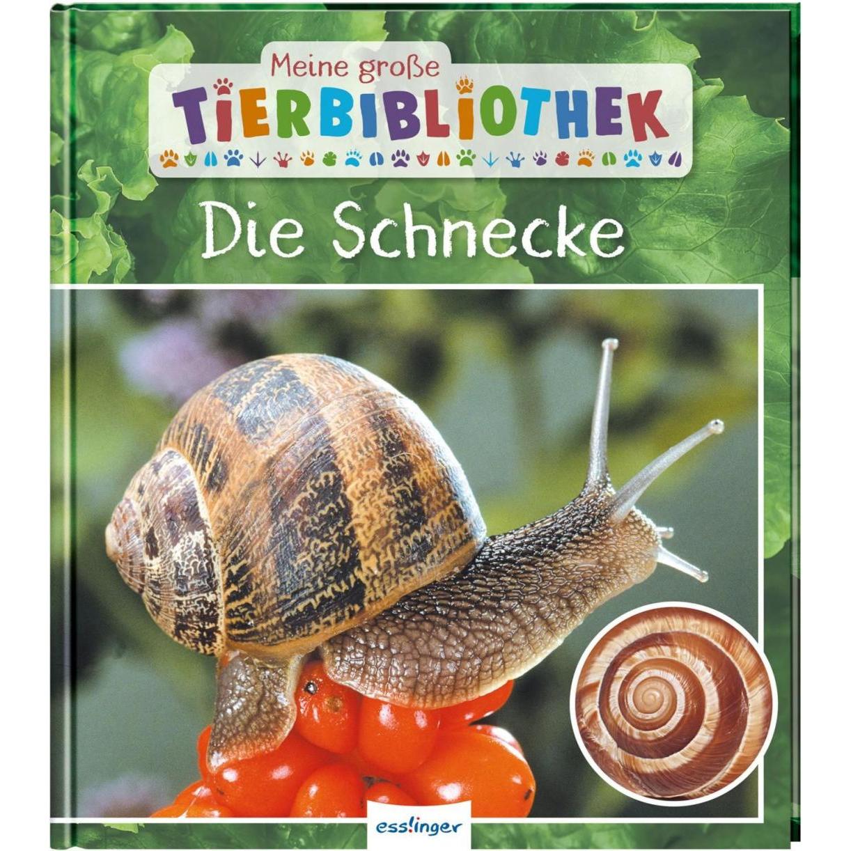 Meine grosse Tierbibliothek: Die Schnecke, Kinderbücher von Paul Starosta